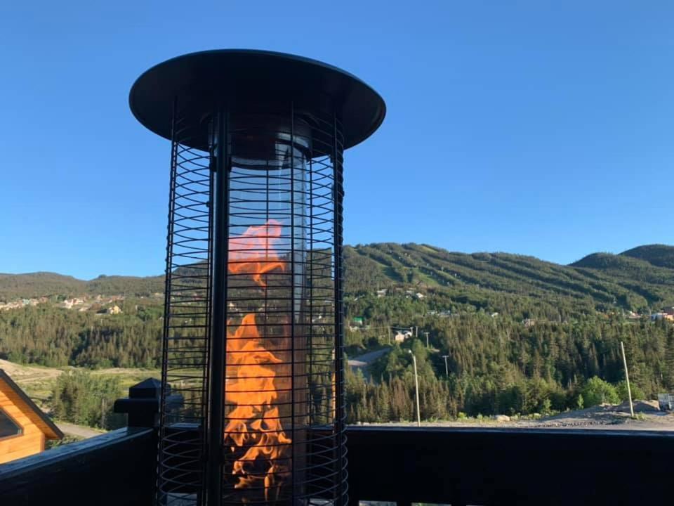 Le Chalet Du Vali Villa Saint-David-de-Falardeau Dış mekan fotoğraf